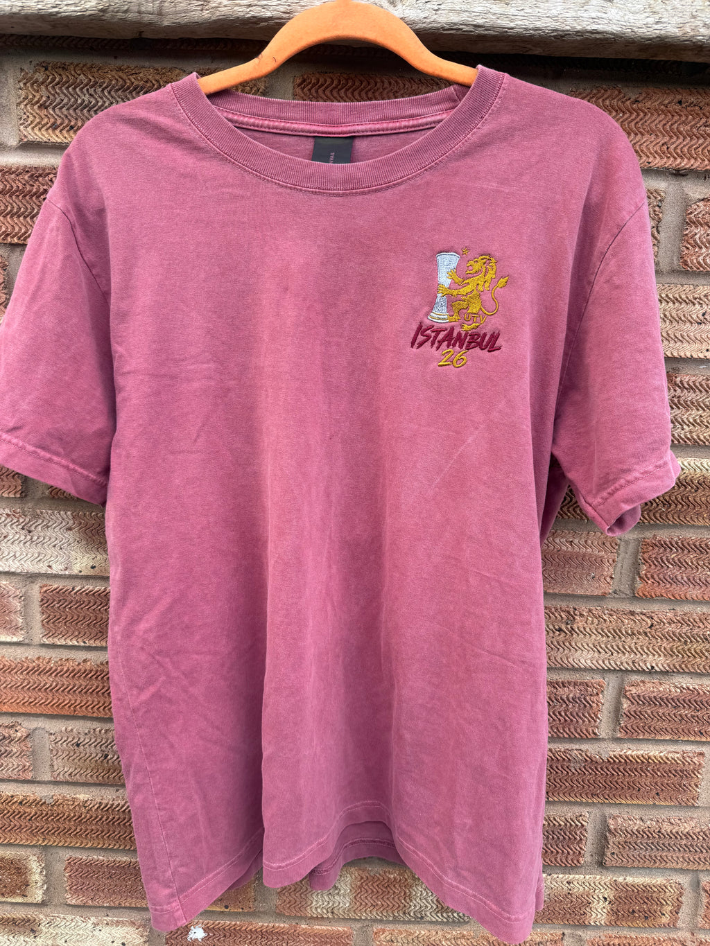 AVFC UEFA Europa League Champions LTD Edition T-Shirt