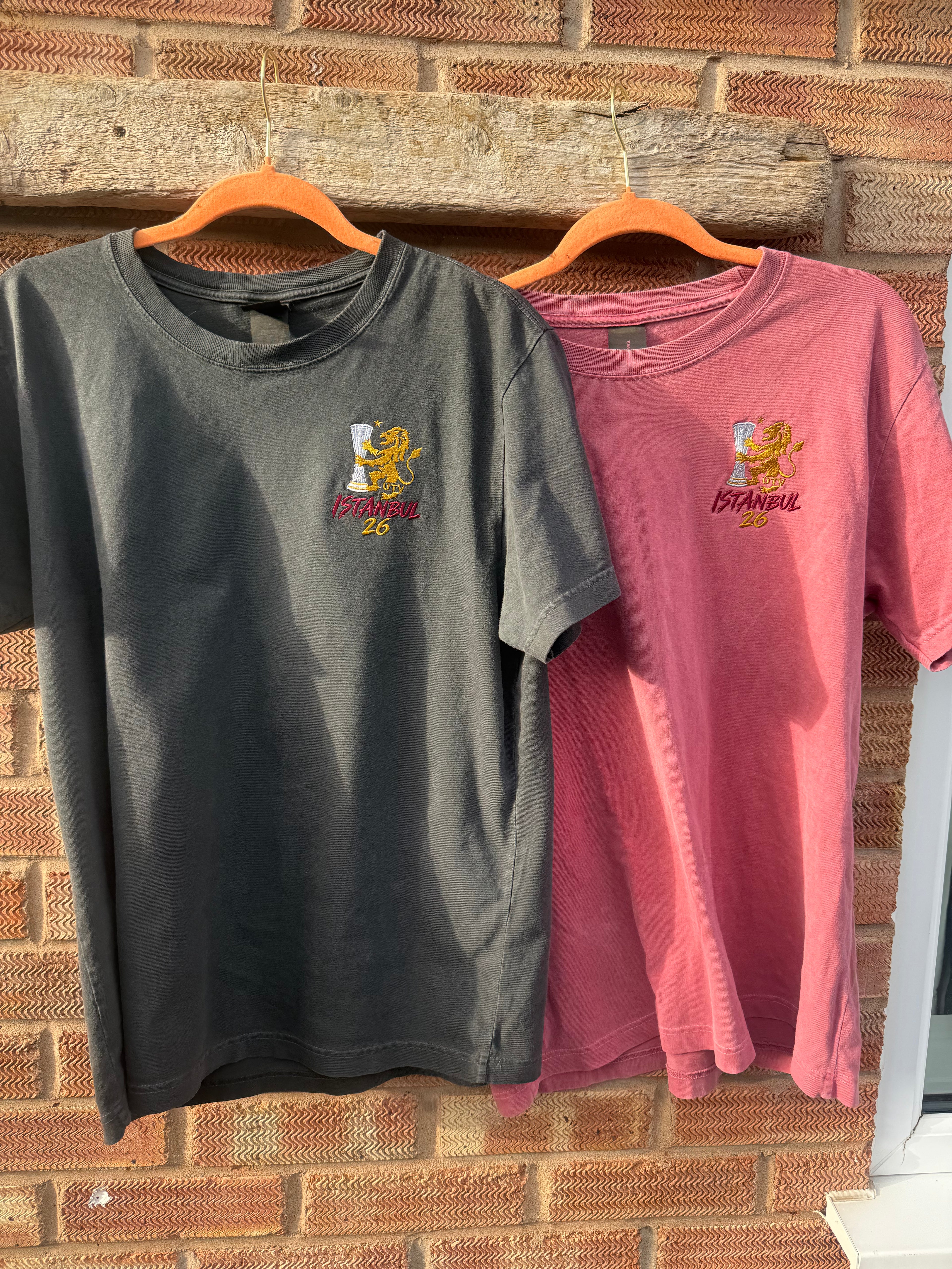 AVFC UEFA Europa League Champions LTD Edition T-Shirt